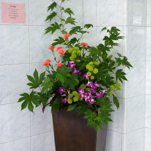 p1060310