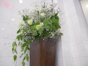 dscn0781