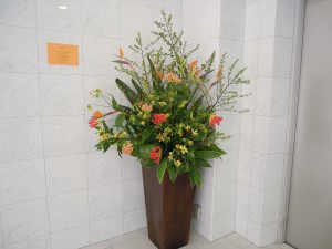dscn08921