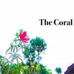 The Coral Work